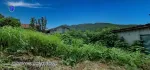 တောင်တန်းတိမ်ပင်လယ်ကြားထဲမှာရှိနေတဲ့ခြံကွက်